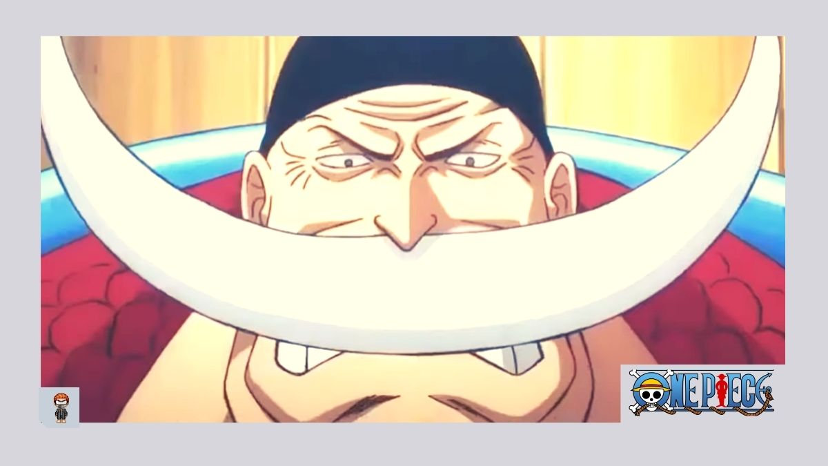 Filmes de One Piece: Gold e Stampede estão dublados no HBO Max - MeUGamer