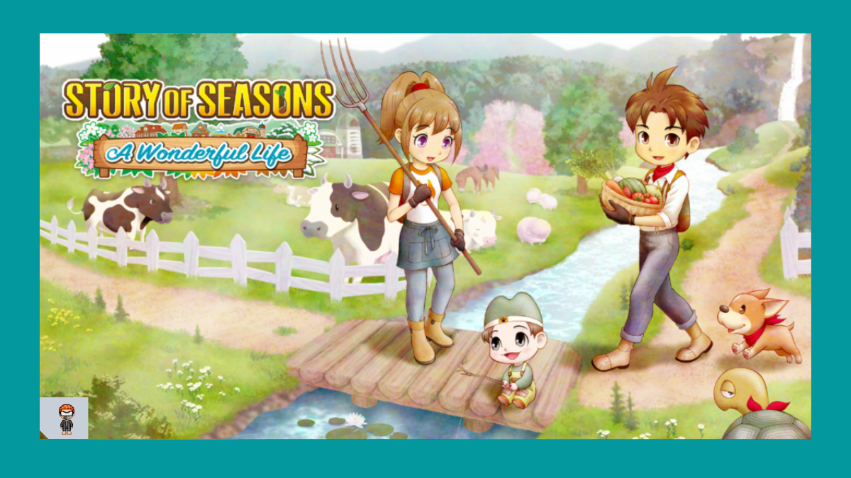 Harvest Moon Remake Story of Seasons A Wonderful life