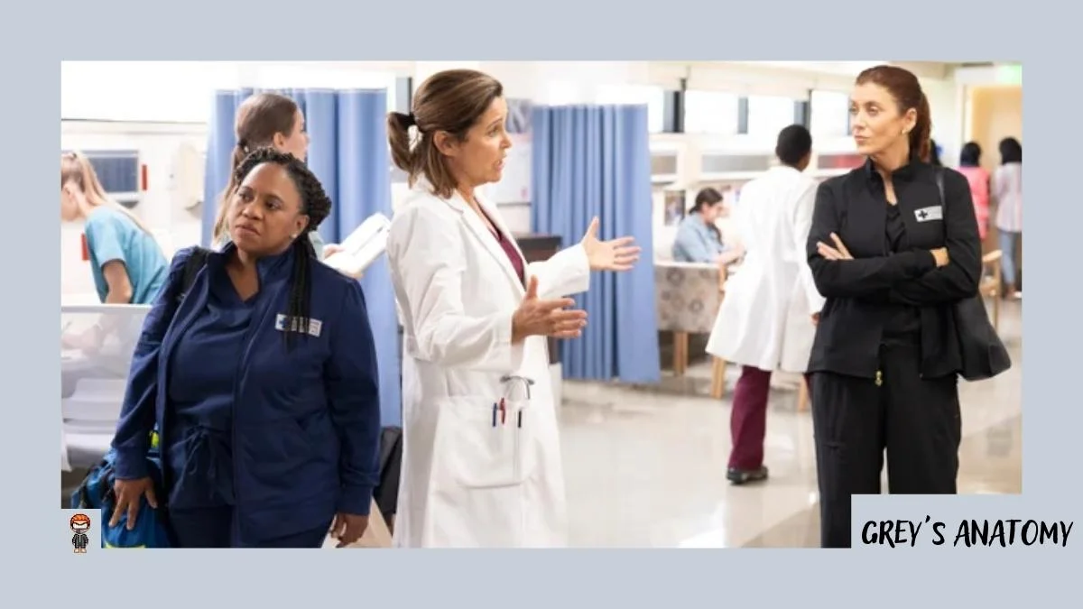 assistir Grey’s Anatomy 19x05 online legendado 19ª temporada