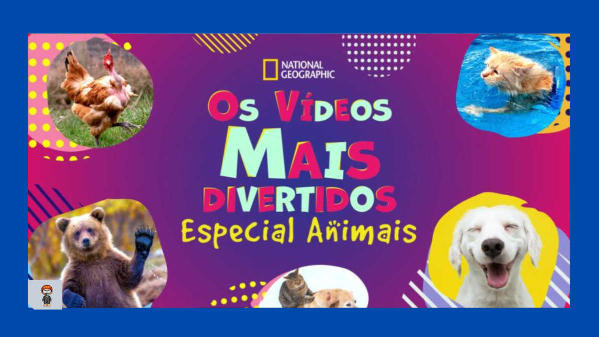 Os Vídeos Mais Divertidos: Especial Animais disney plus Os Vídeos Mais Divertidos: Especial Animais assistir online