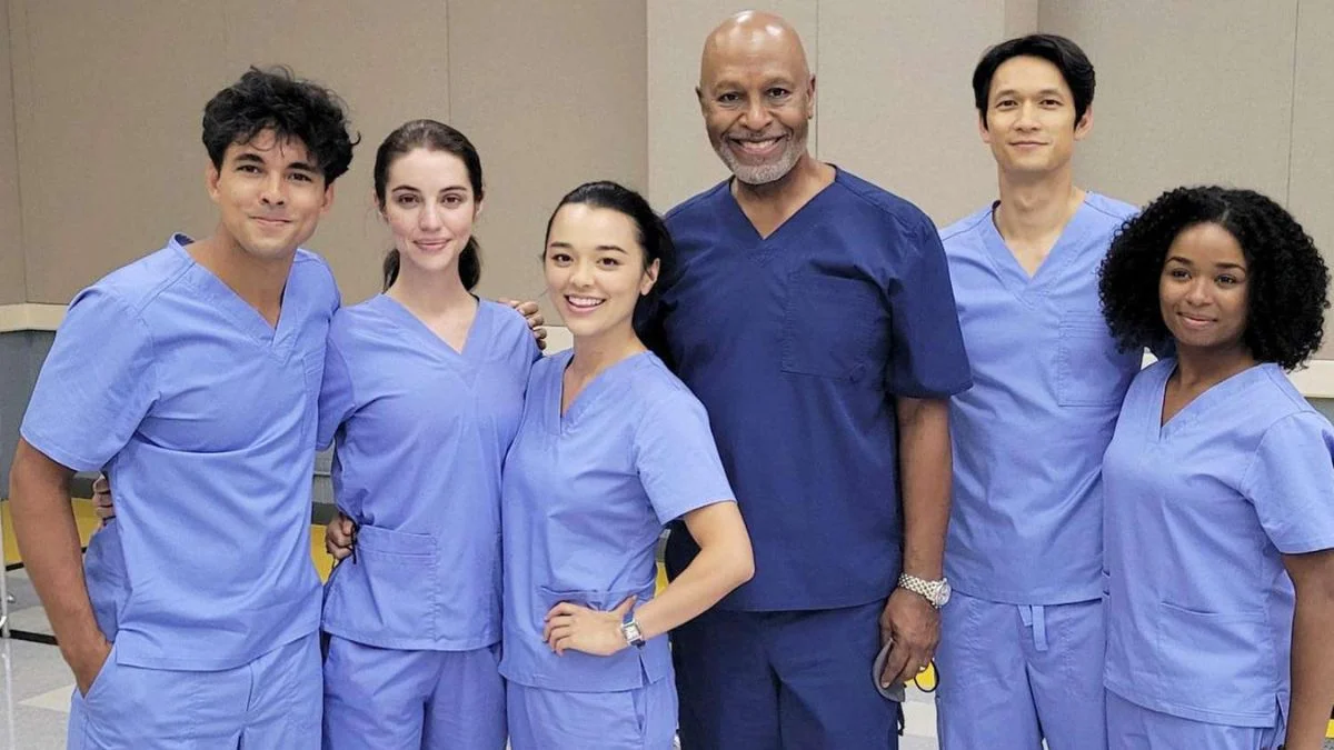 Grey’s Anatomy 19ª temporada data star plus