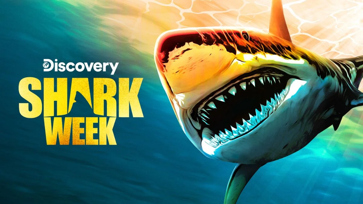 Shark Week 2023 tubarões programação