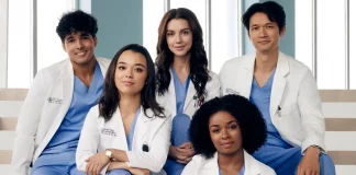 Grey’s Anatomy 19ª temporada horário Star Plus