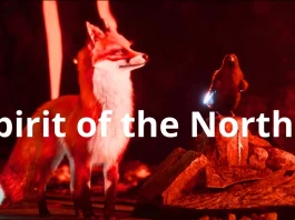 Spirit of the North 2: jogo ganha trailer de anúncio