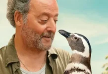 Meu Amigo Pinguim: História do Pinguim que virou amigo de pescador ganha trailer oficial