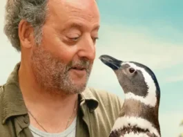 Meu Amigo Pinguim: História do Pinguim que virou amigo de pescador ganha trailer oficial