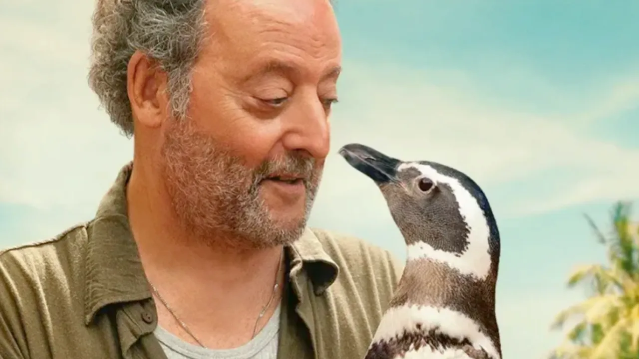 Meu Amigo Pinguim: História do Pinguim que virou amigo de pescador ganha trailer oficial