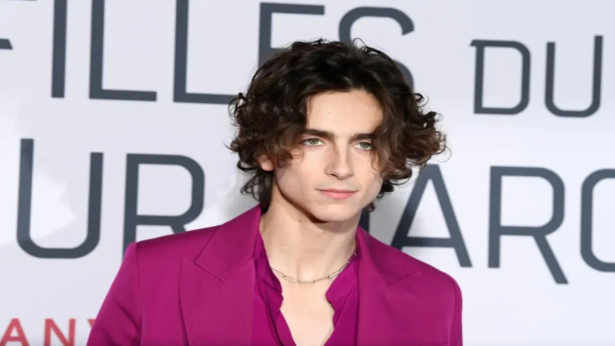 Timothée Chalamet vai interpretar Willy Wonka